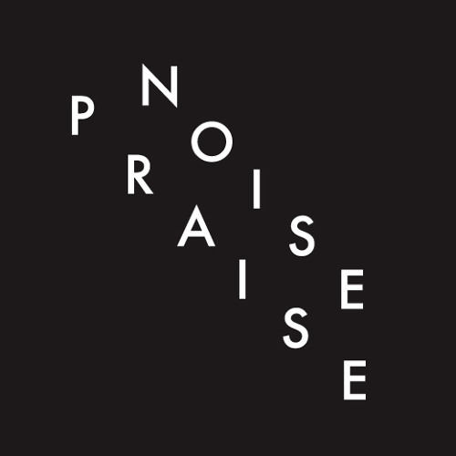 NOISE PRAISE RECORDS’s avatar