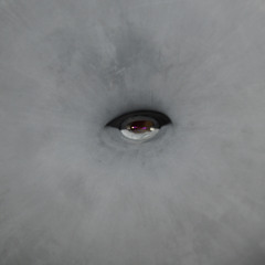 mellow sea tha dreamer