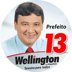 wellington13