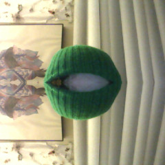 Squidbrain