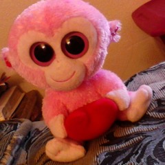 selena Yvette Jaimes