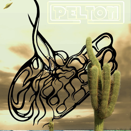 peltonmusica’s avatar