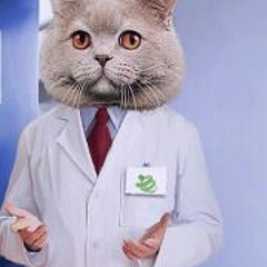 Mindaugas Pasvenskas