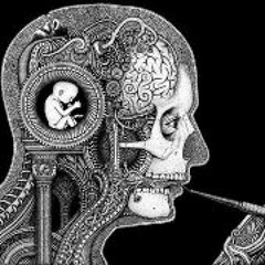 Christopher Pedercini