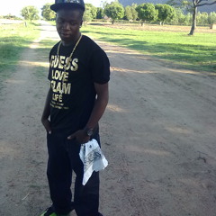 Assan assasin sibanda