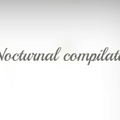 NocturnalCompilation