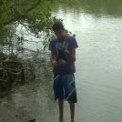 Carlos Ariel Alvarado