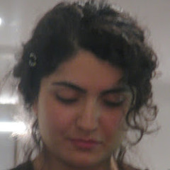 Narges.A