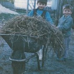 Danijel Salama Obradovic