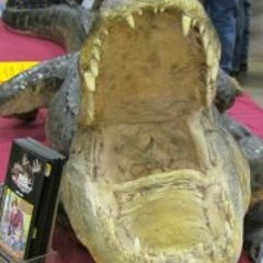 Beaver Thomas Foland Jr.