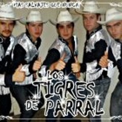 Los Tigres de Parral