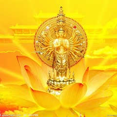 Huynh Anh Tuan 1
