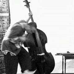 120125AfterRainInAnotherForest