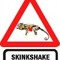 sKiNkShAkE