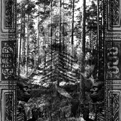 Aokigahara Woods