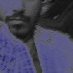 Mohamed Aly 2013