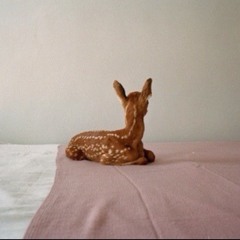 shakeyourbodymoveyourbody