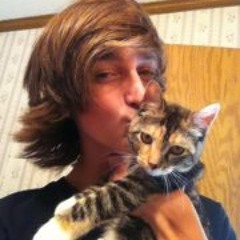 Robby David