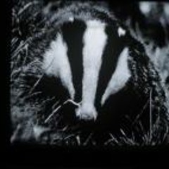 Marcus Juan Berntsson