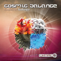 V.A Cosmic Balance