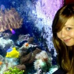 Lena Cakes Hackathorn