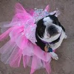 Sherria Mansell-Watts