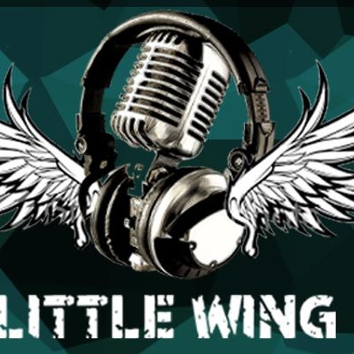 Littlewingstudio’s avatar