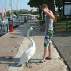 Nathan Speelmans