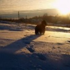 Ieva Vyšniauskaitė