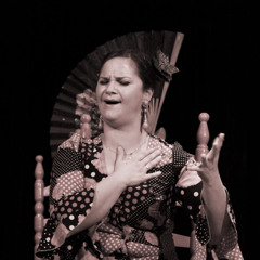Rosario Amador Flamenco