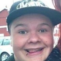 kulansylvestet