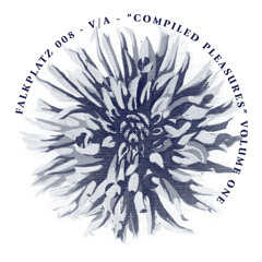 Falkplatz Schallplatten