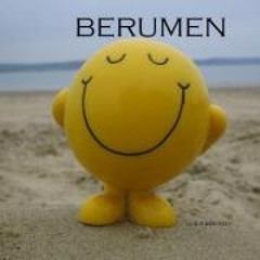 Luis R Berumen Berumen