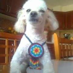 Don Manuel Díaz Pereyda