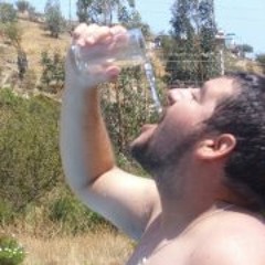 Camilo Andres Bergereault