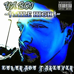 MountainSideProductionz