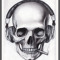 DJ Xavr