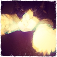 Suena La Alarma - Los Cafres