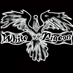 White Pigeon