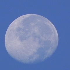 tlwu