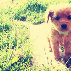 babiiegurl13