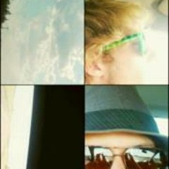 Return of the Birdtribes