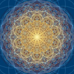 Don't Swallow that Fly