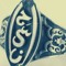 Nehal Gamal