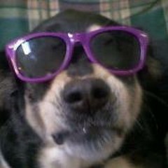 Cameron Addison Hamilton