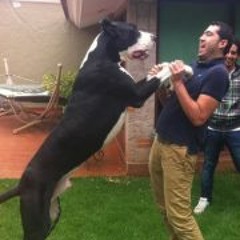 Kristian Alfonso Romo