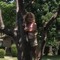Tamira James Goforth