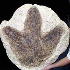 Xquenda Mollolehuani