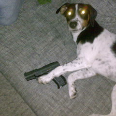 I N S A N E ( L I V E )