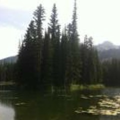 Extraterrestrial4LiFe